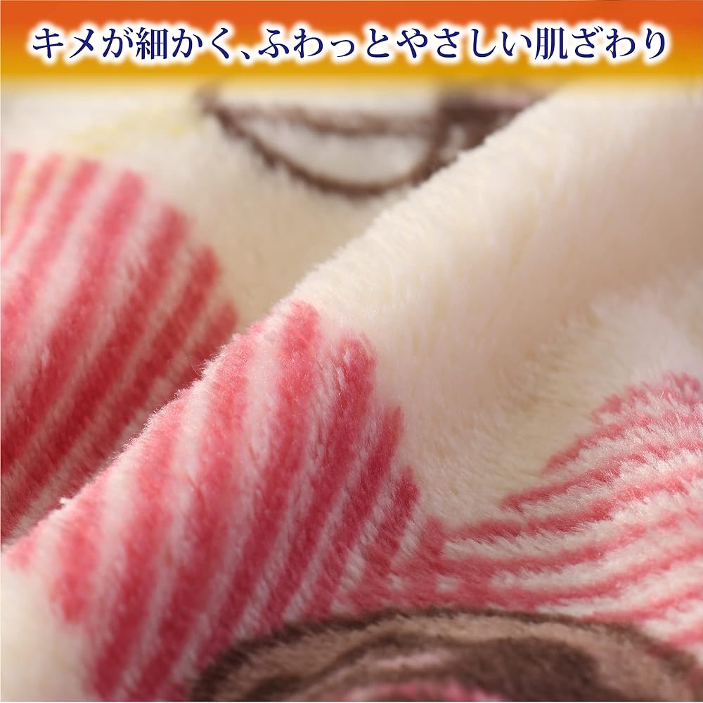 nishikawa [Nishikawa] Snoopy Blanket Single Washable Cafe Pattern Check Red FQ02505035