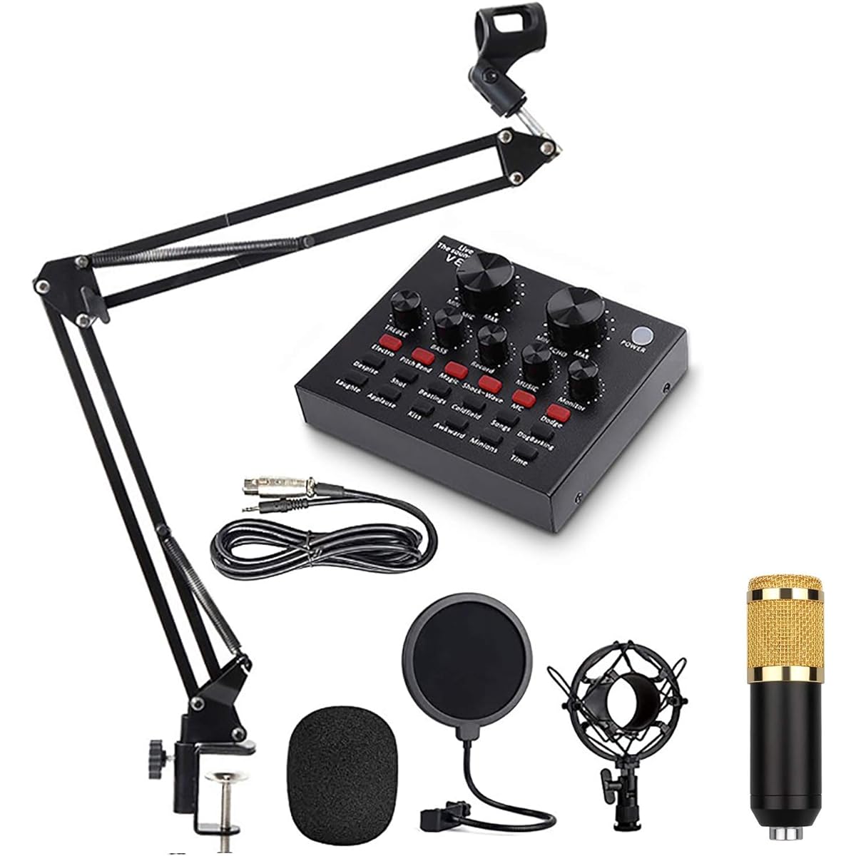 USB Microphone for Computer Kit, Sound Card Condenser Computer PC Microphone Gaming PC Studio Microphone Set with Arm Stand, Noise Reduction, Mute Key, Plug and Play, Home Recording Studio