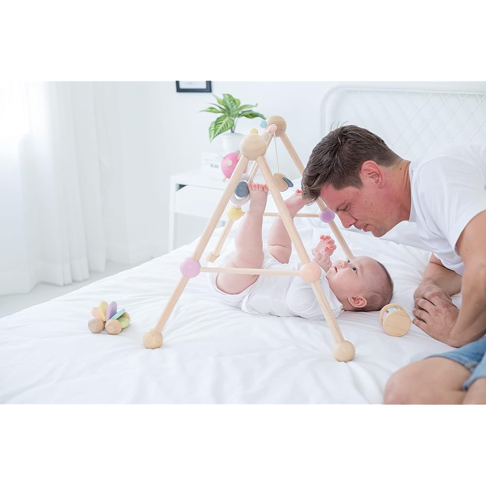 PLANTOYS JAPAN Play Gym 5260