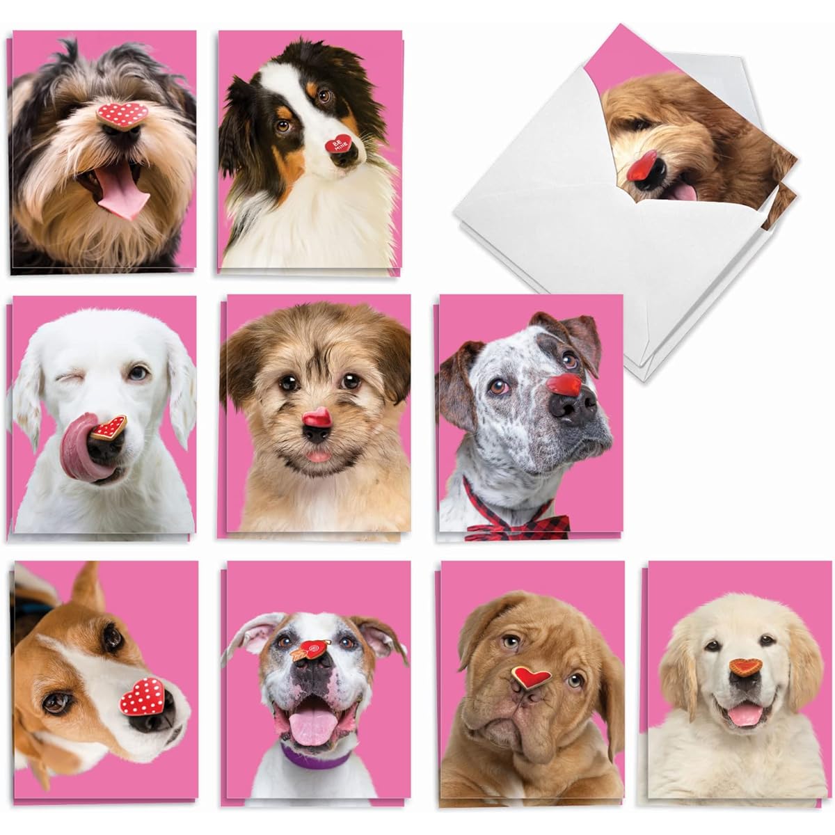 The Best Card Company Heart Dog - 20 Boxed Valentine's Day Note Cards with Envelopes (4 x 5.12 inches) - AM9161VDG-B2x10