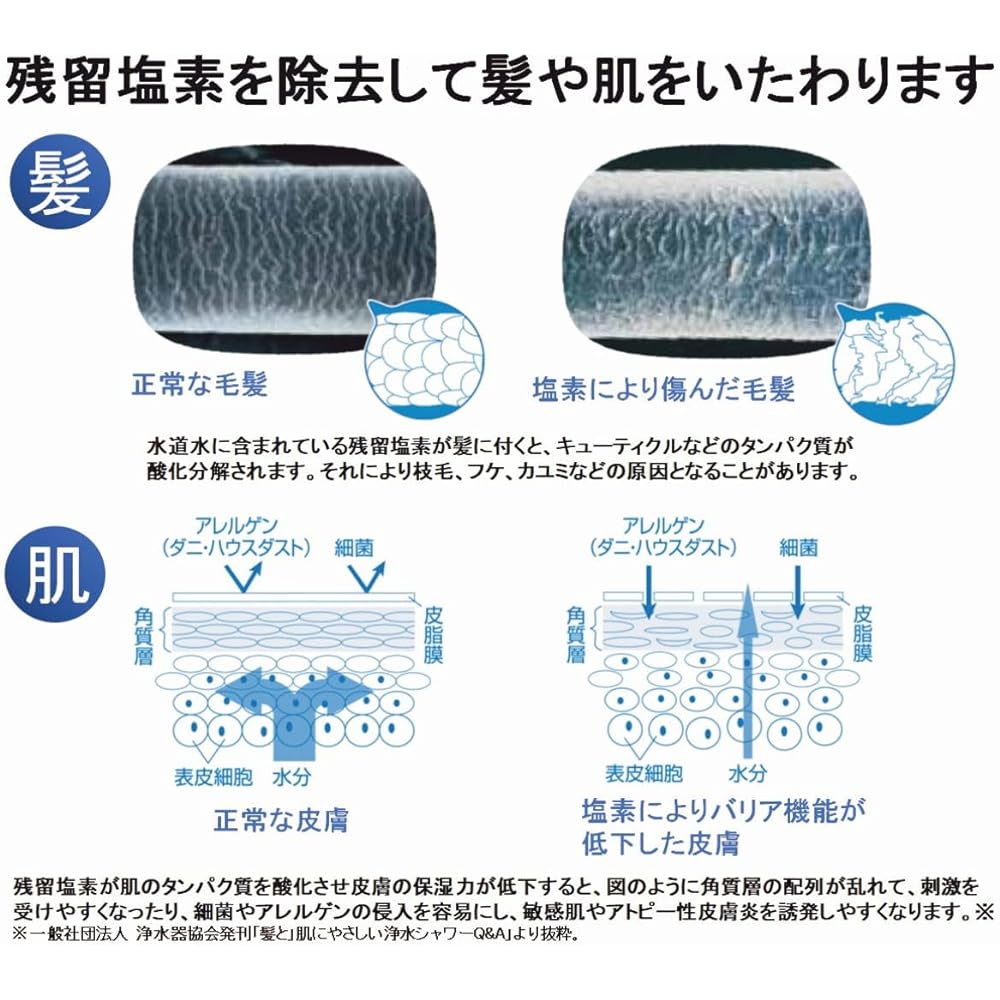 Toray (TORAY) Toray Trevino Water Purification Shower "Tore Shower" Cartridge Total of 2 RS54-AZ