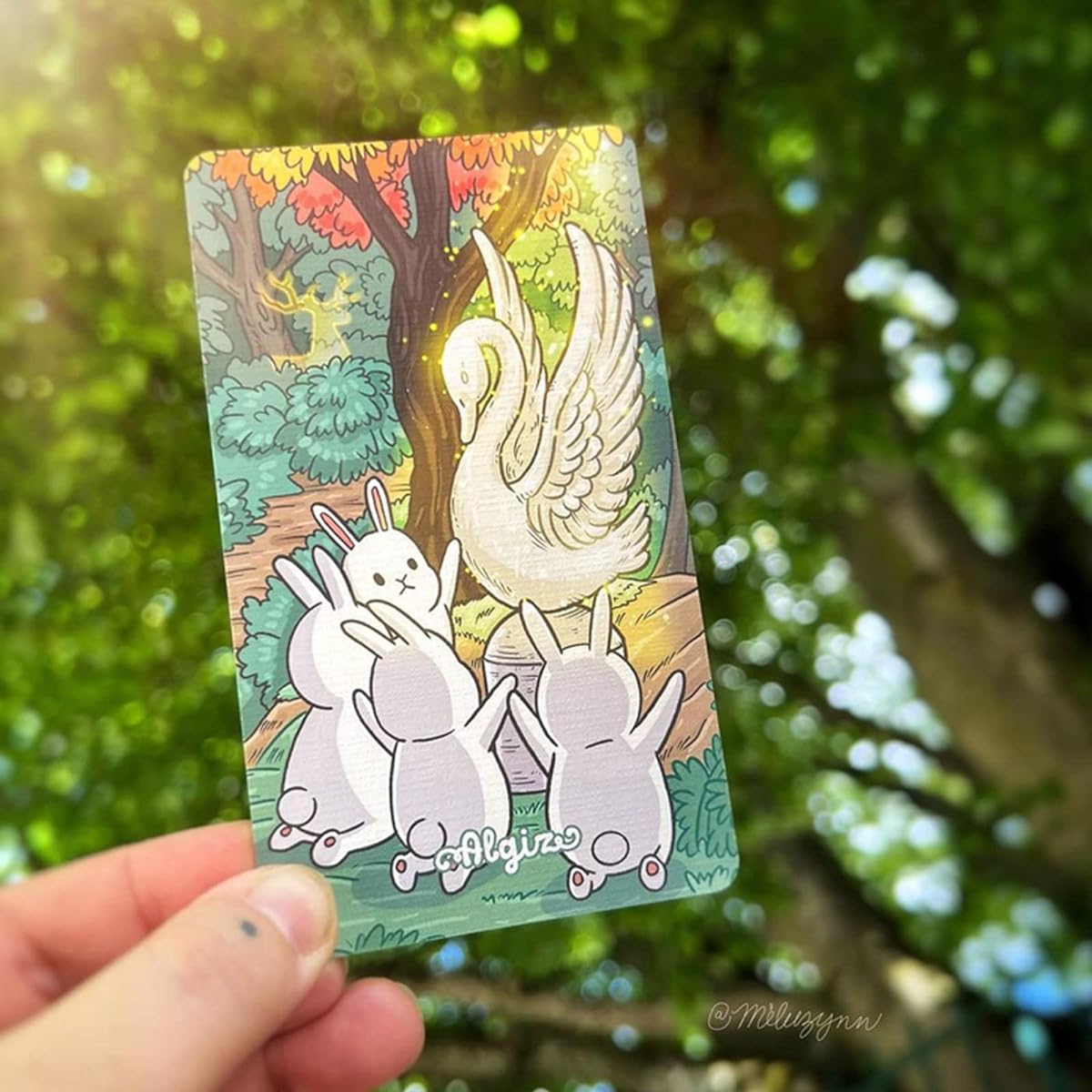 Set of 24 Chubby Bun Runes Vol. 3 Elder Fuzark with 2 special cards
