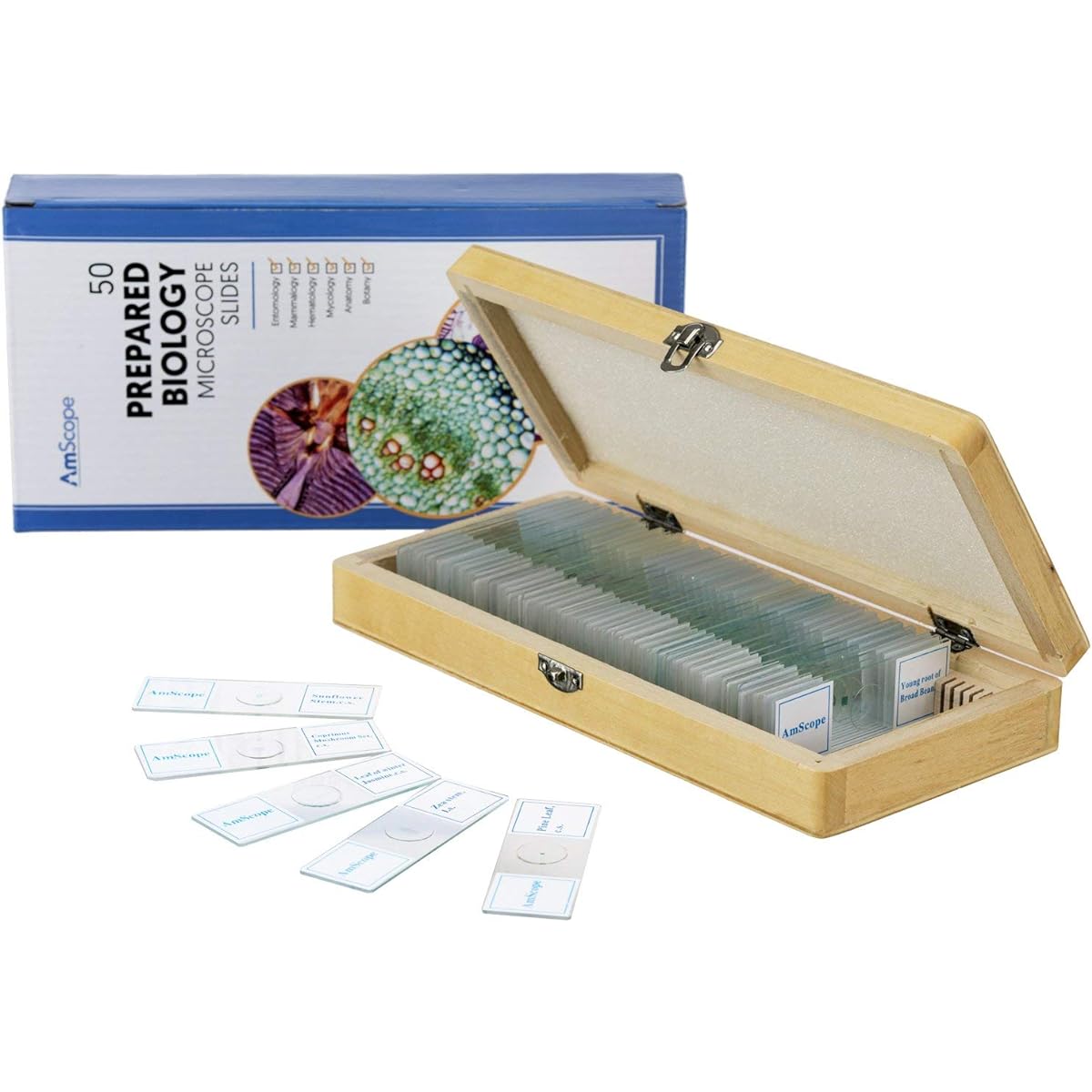 AmScope 50pc Homeschool Student Biology Glass Slides Microscope Prepared Slides in Wooden Box