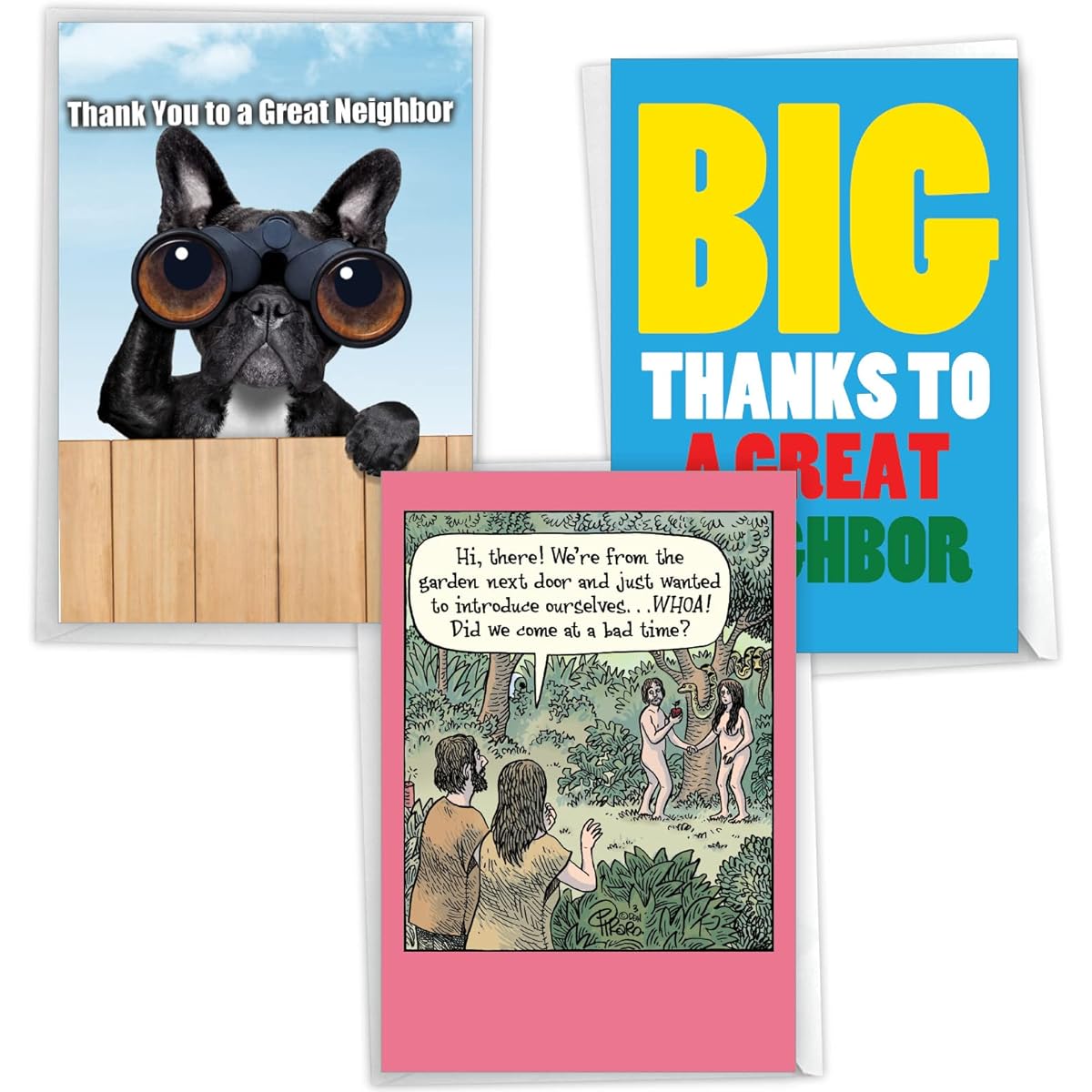 NobleWorks Cheerful Thank You Greeting Cards (Neighbors) with Envelopes (3 Designs, 1 of Each) Grateful Neighbors VC10240TYG-C1x3