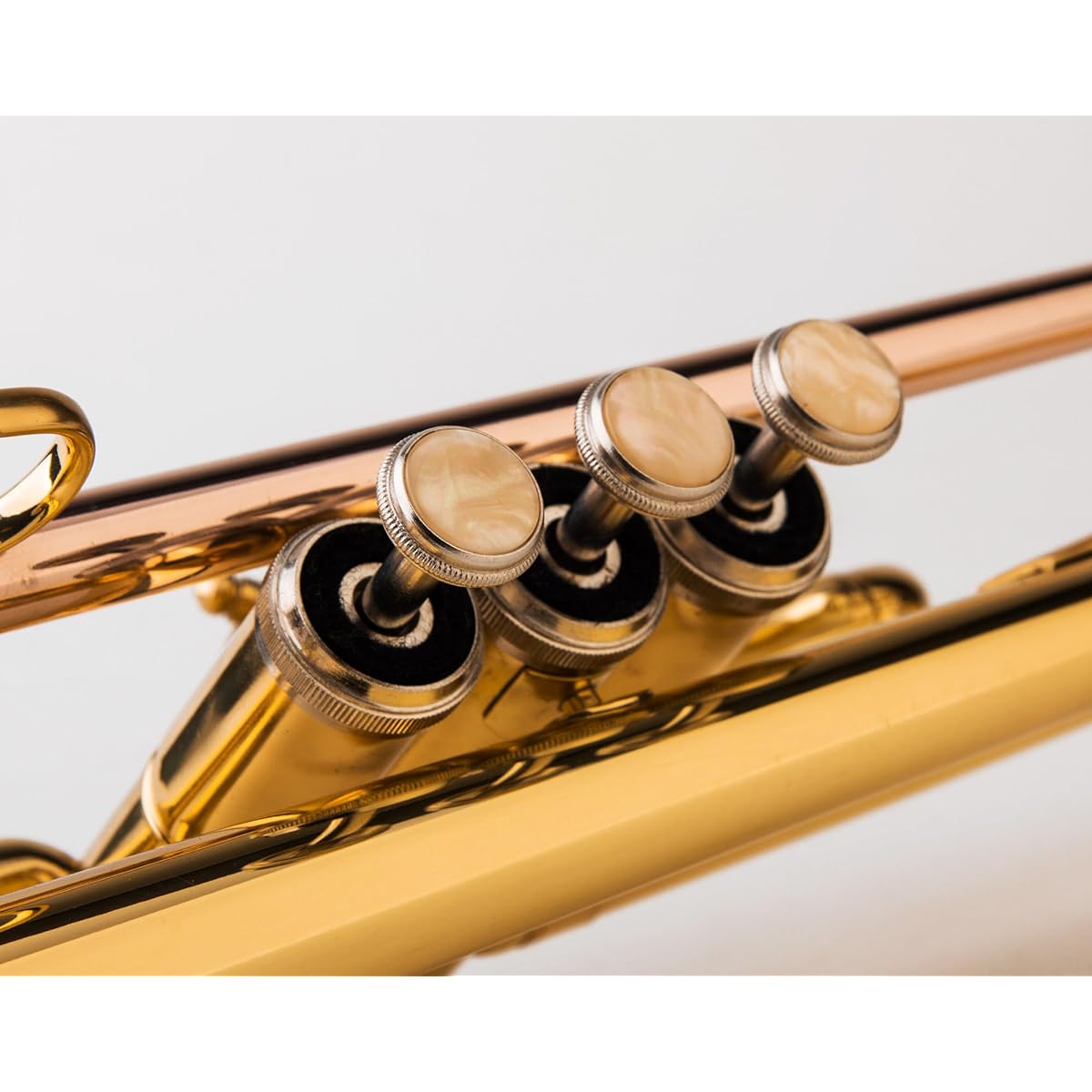 Glory Bb Trumpet - Beginner or Advanced Trumpet with Case, 1 Pair of Gloves, Gold