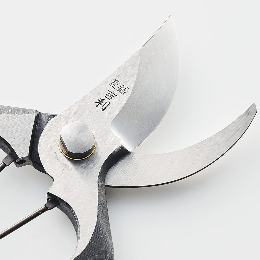 Aguri no Kura Geely Pruning Shears with Metal Clasp 200mm Made in Japan Made in Sanjo, Niigata Prefecture Handcrafted by blacksmiths SA type pruning shears for pruning garden trees, fruit trees, and garden plants