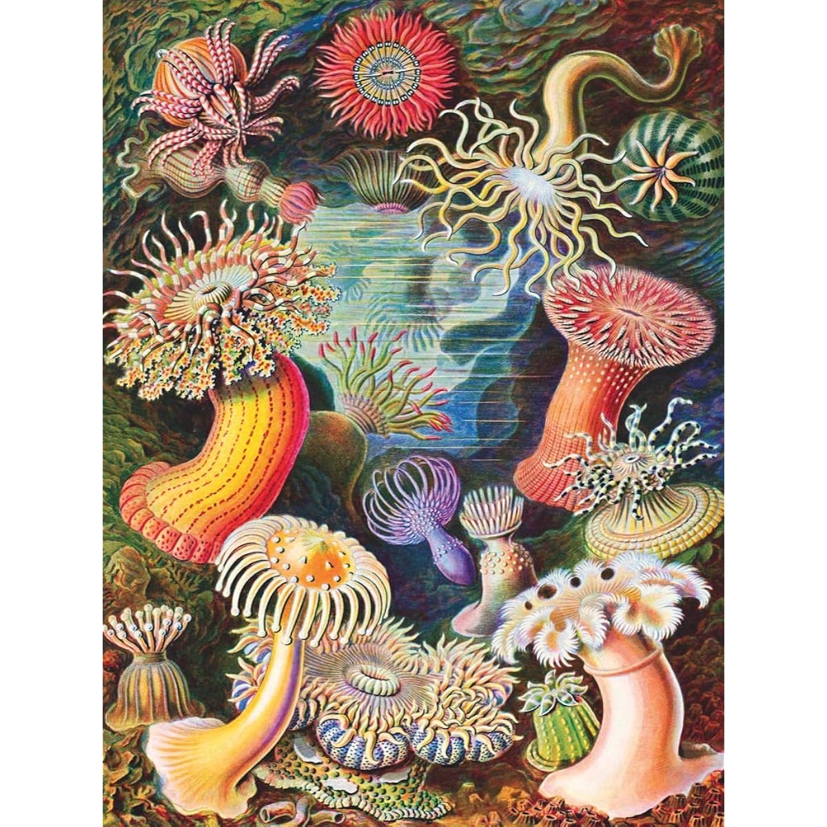 New York Puzzle Company Vintage Image Sea Anemone 1000 Piece Jigsaw Puzzle