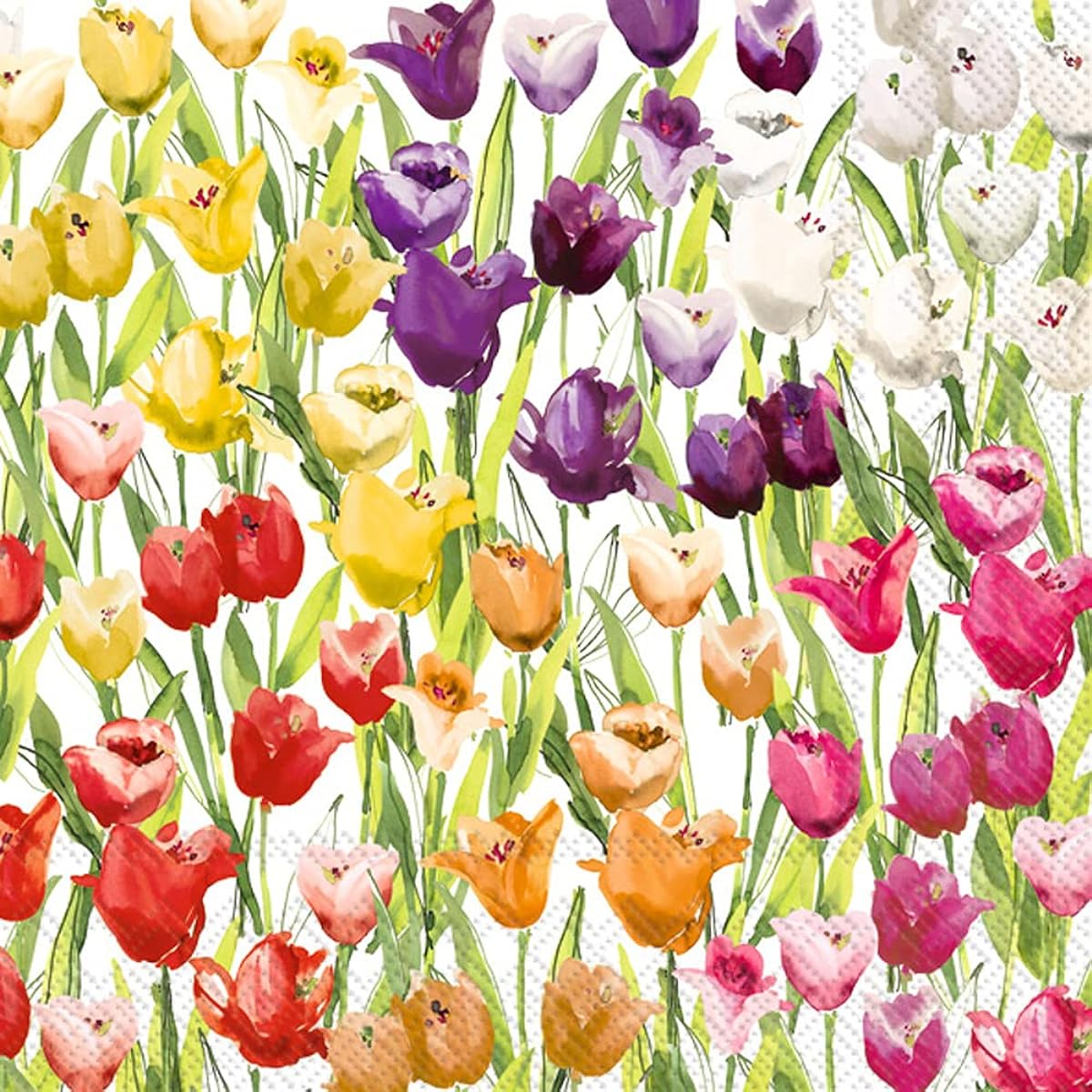 Boston International IHR 3-ply Paper Napkins, 20-count, Lunch Size, Tulip Field