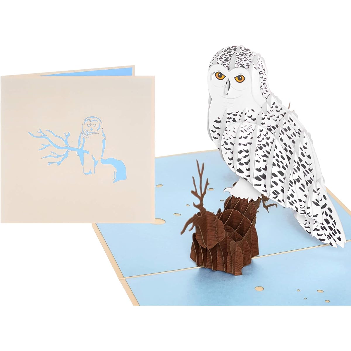 Rykamia Owl Pop Up Card 6 x 6 Inch "Just Because" Graduation Any Occasion Father Son Husband Wife Mom