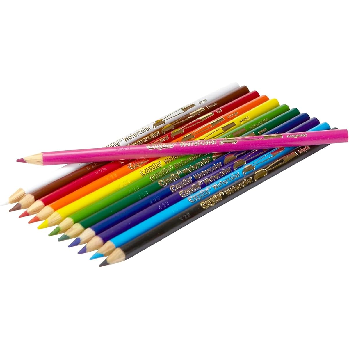 Crayola Classpack Watercolor Pencils, 240 Count, 12 Colors, 20 of Each, Perfect for Classrooms, Education, and Art Tools