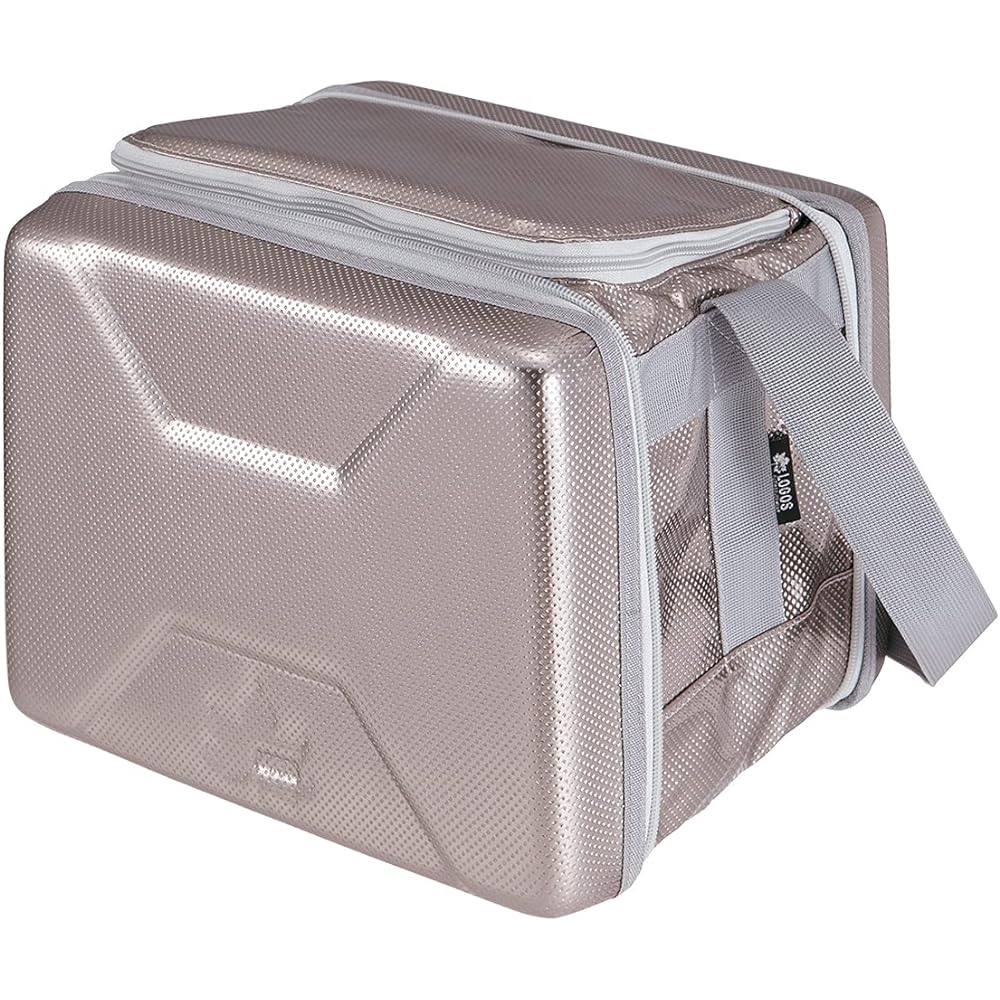 LOGOS Hyper subzero cooler M + double speed freezing/subzero pack M x 2 3-piece set R167N001 Silver