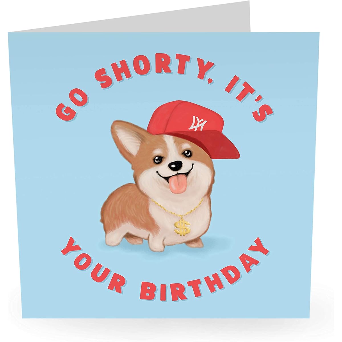 Central 23 - Cute Animal Birthday Card - "Go Shorty, It's Your Birthday" - For Girlfriend - With Funny Dog Bun - Fun Stickers Included