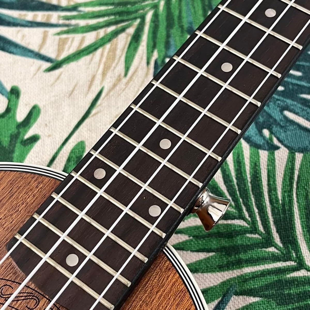 Beginner's Set Deviser Pineapple Soprano Ukulele Ukulele Specialty Store
