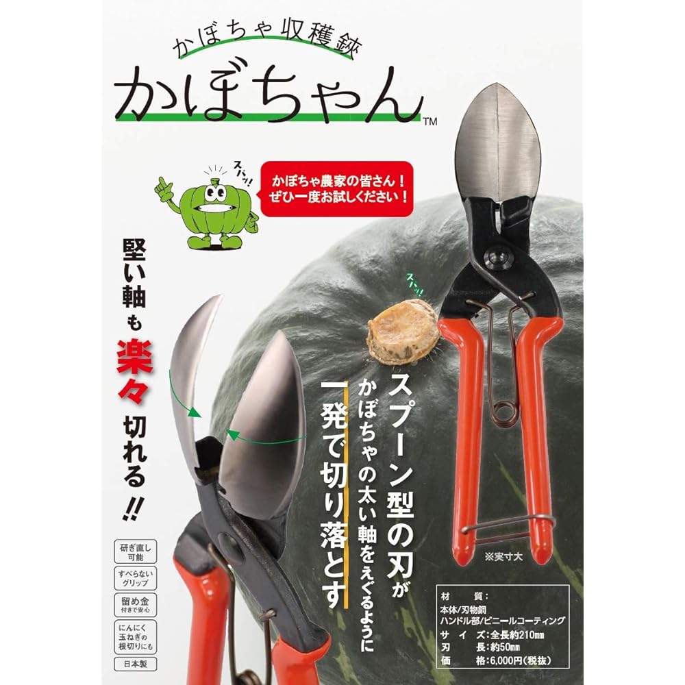 Pumpkin harvesting shears "Kabochan" can easily cut even hard stems! Convenient for cutting the roots of garlic and onions SUWADA