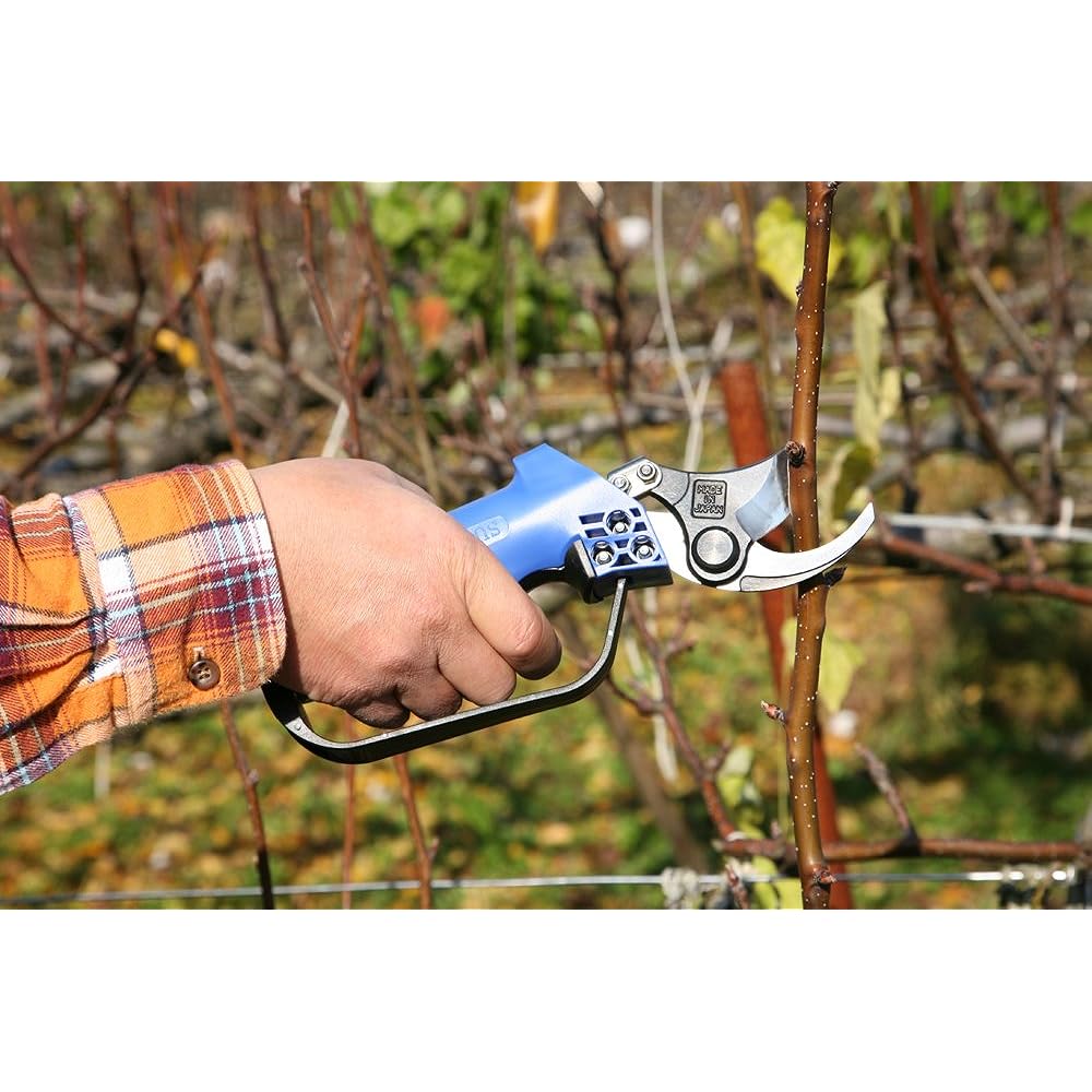 air pruning shears