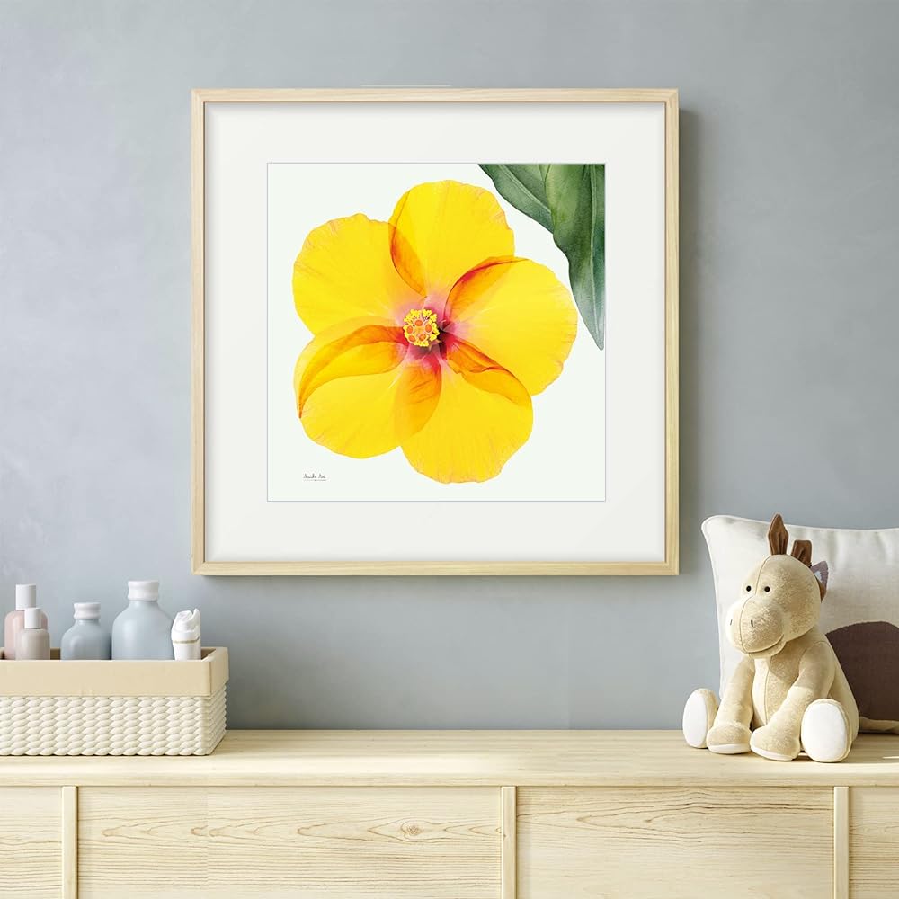 Painting "Hibiscus from Above" Interior Painting Flower Art Panel Framed (H 43cm x Width 43cm)