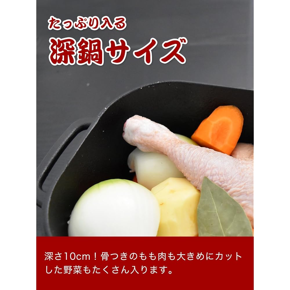 Nambu Ironware BS Pot Made in Japan Iron Casting
