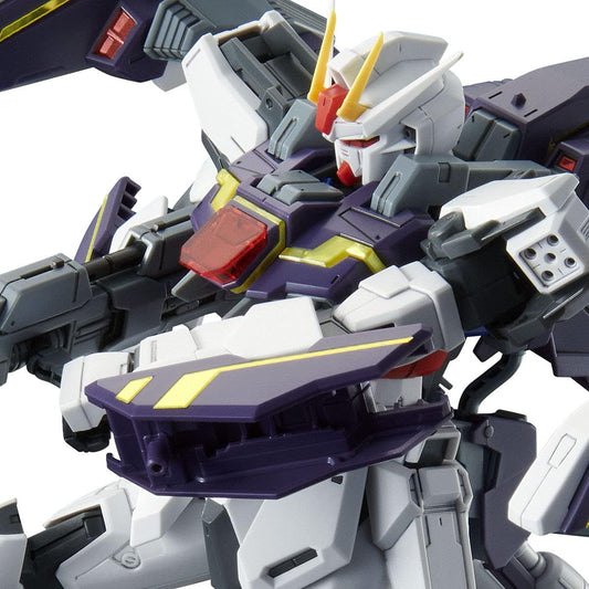 MG 1/100 Lightning Strike Gundam Ver. RM Plastic Model (Hobby Online Shop Exclusive)