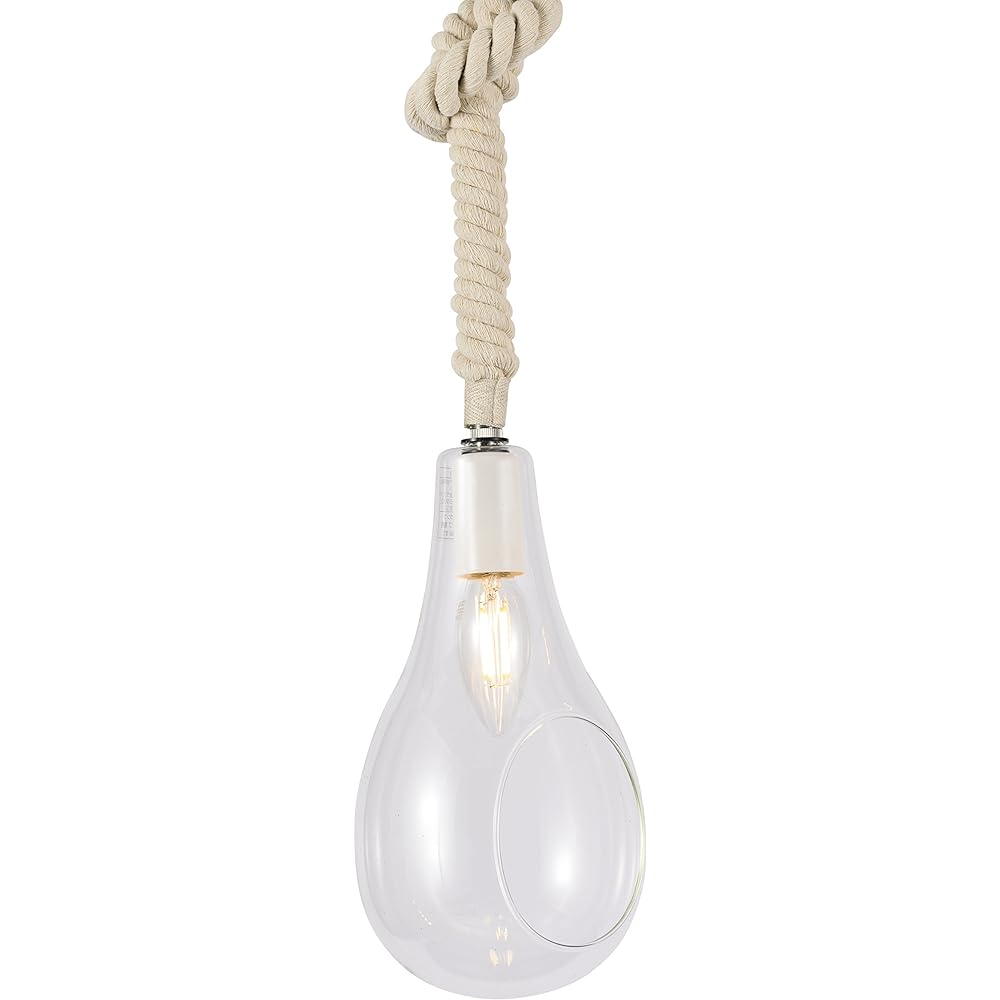 Botanic hanging light S