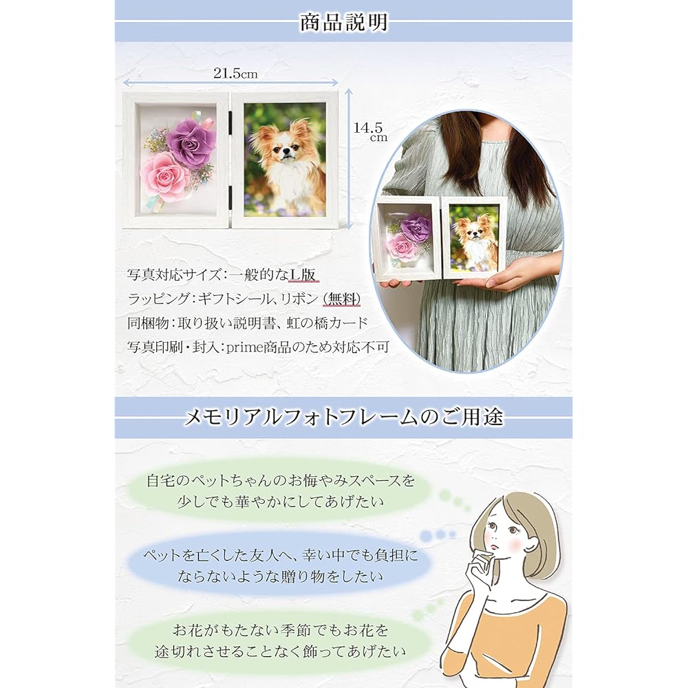liLYS épice Preserved Flower Photo Frame for Gifts, Photo Frames, Birthdays, Wedding Gifts, Celebrations, etc. Made in Japan (Rainbow Bridge (White Frame) x Japanese Modern Incense "Lavender Scent") pp2nhlv