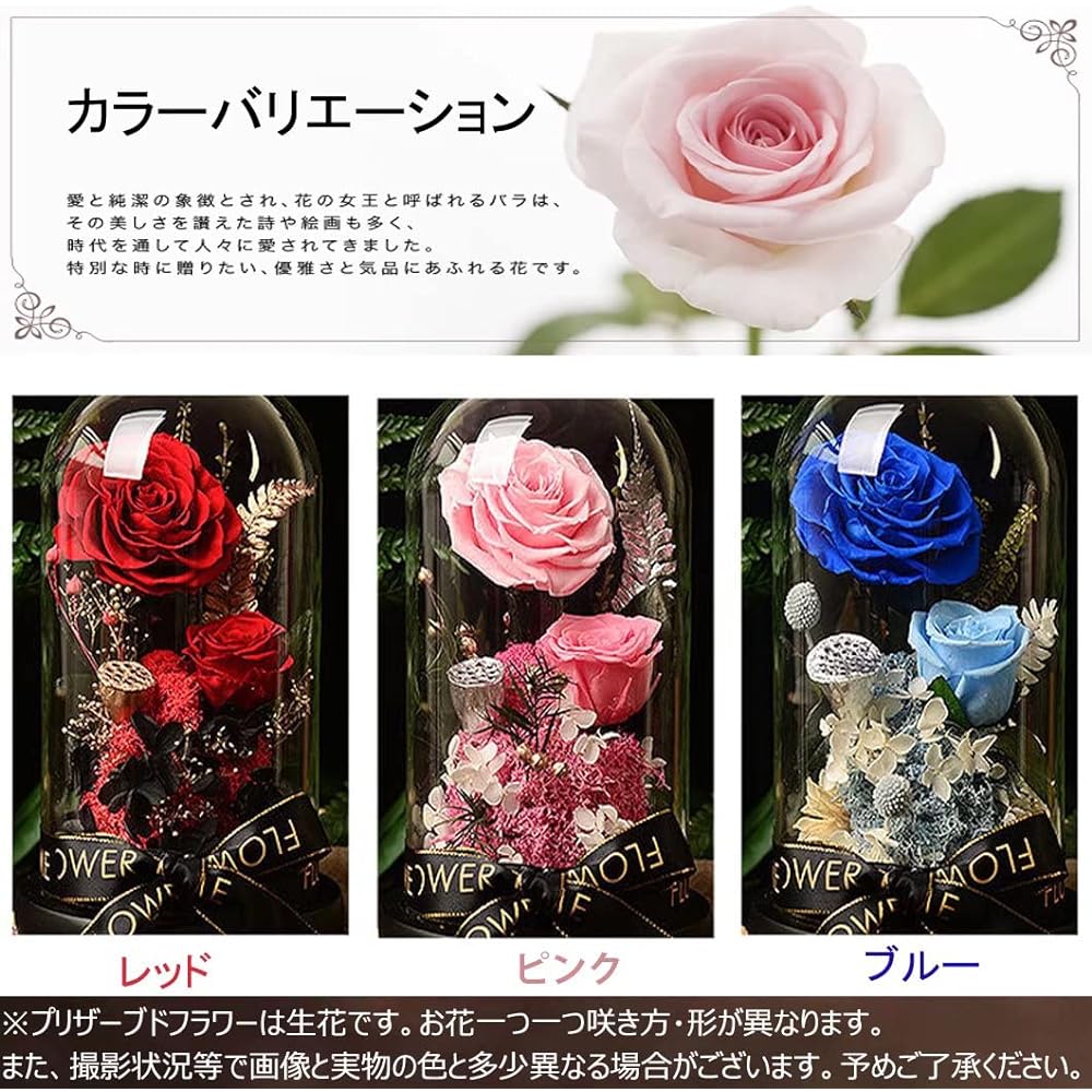 HIMENO Preserved Flowers, Cute, Rose, Blue Rose, Never Wither, Flower Message Card, Stylish, Glass Dome, LED Light, Beautiful, Beautiful Wooden Base, Hydrangea Romantic, Anniversary, Celebration,