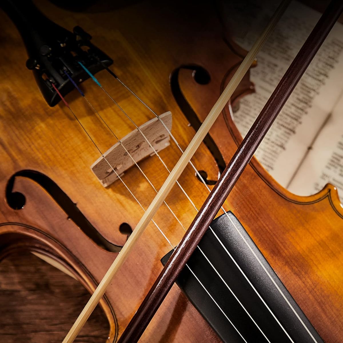 Eastar Violin 4/4 Single Solid Violin Set with 2 Bows for Beginners and Advanced Violinists EVA-330