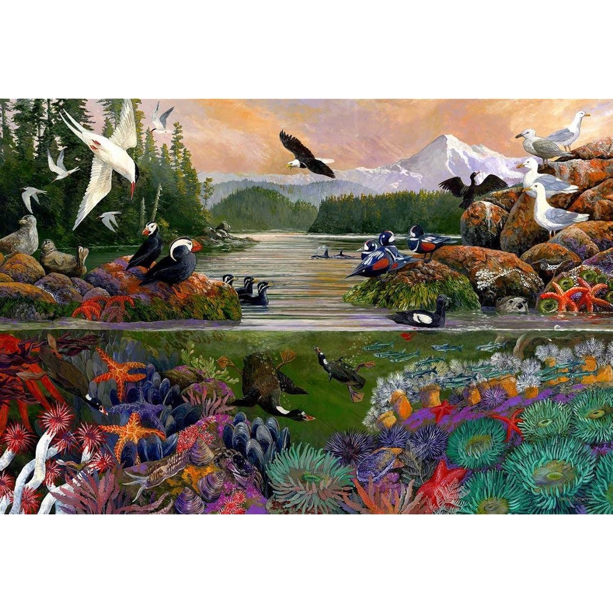 Wooden Jigsaw Puzzle - Two Side of The Sea by Larry Eifert - 501 pieces. Made in the USA by Nautilus Puzzles.