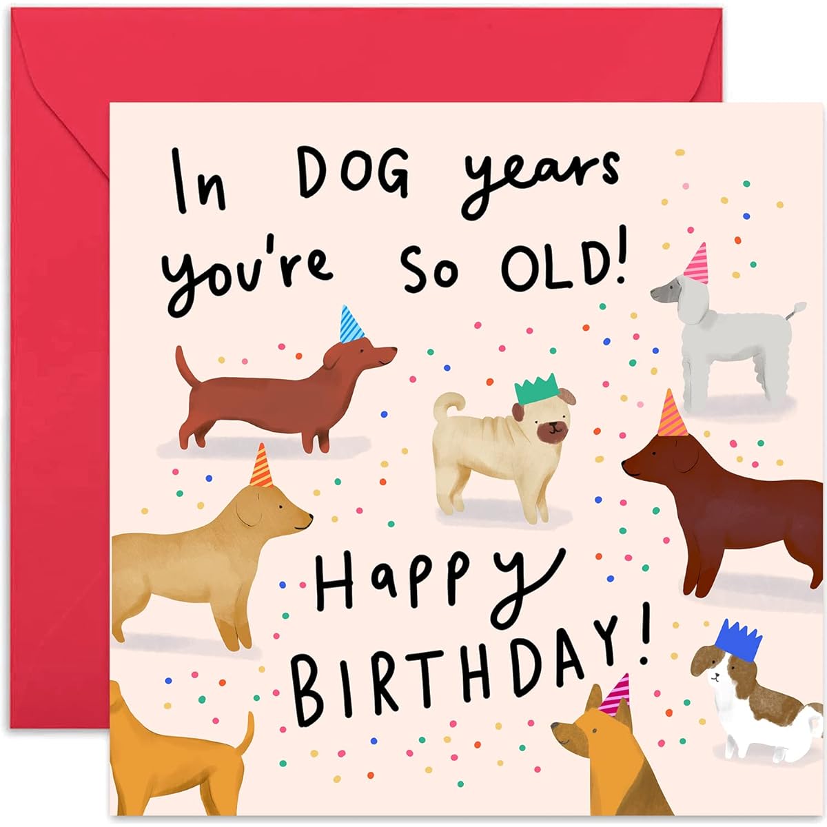 Old English Co. In Dog Years You're Old Card - Funny Animal Birthday Greetings for Men and Women | Humorous Jokes for Him and Her | Blank Inside & Envelope Included
