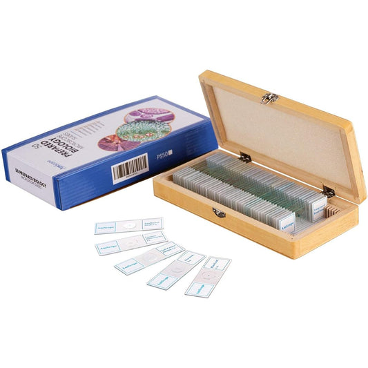 AmScope 50pc Homeschool Student Biology Glass Slides Microscope Prepared Slides in Wooden Box
