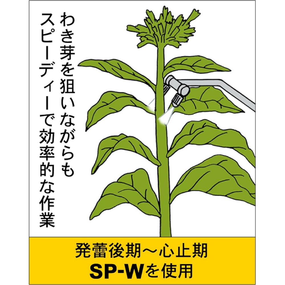SAN-A Spot Nozzle Double (for late budding to asystole) SP-W