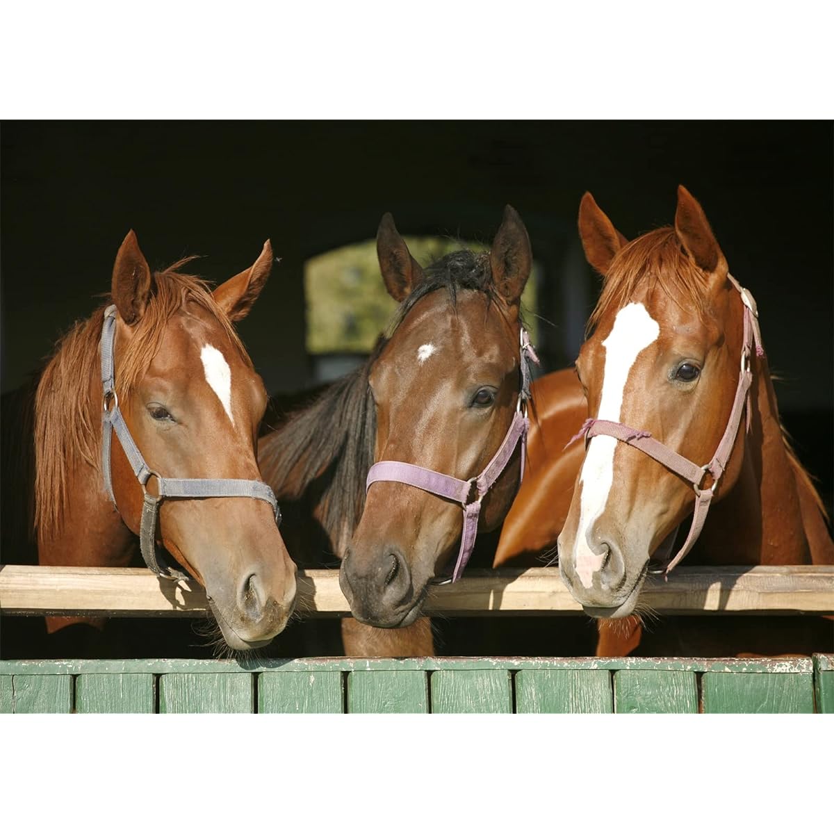 Loccor 15x8ft Horses in Paddock Backdrop Purebred Chestnut Racing Horses in Barn Photography Background Cowboy Birthday Party Decorations Derby Party Kids Adults Portrait Photo Booth Props