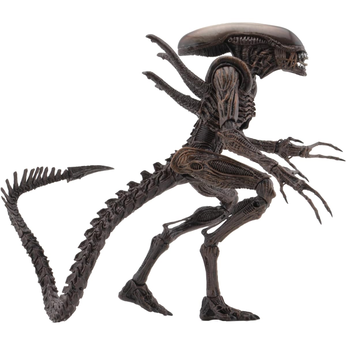 Neca - Figurine Aliens 3 - Alien Warrior Serie 14 18cm - 0634482516522