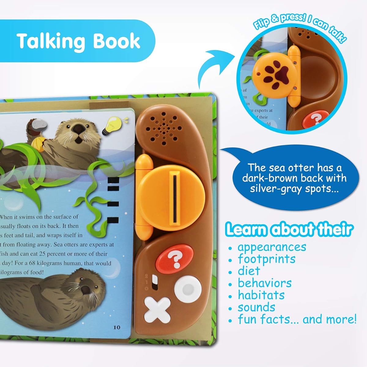 Best Lesson Book Reader Animal Kingdom