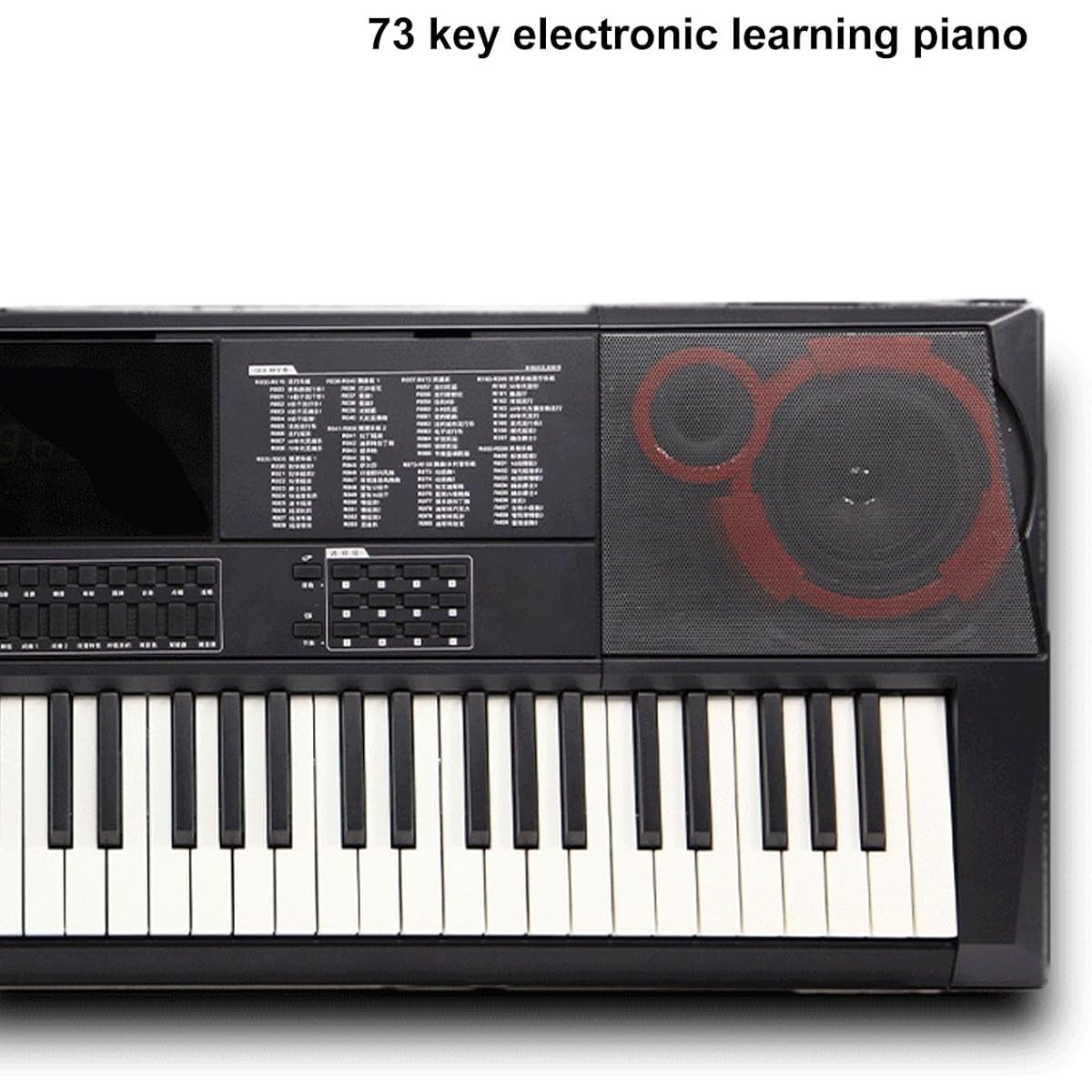 73 Keys Portable Keyboard, Portable Standard Piano Keyboard Plastic HiFi Stereo 80 Demo Songs Wide Range 100-240V (US Regulation)