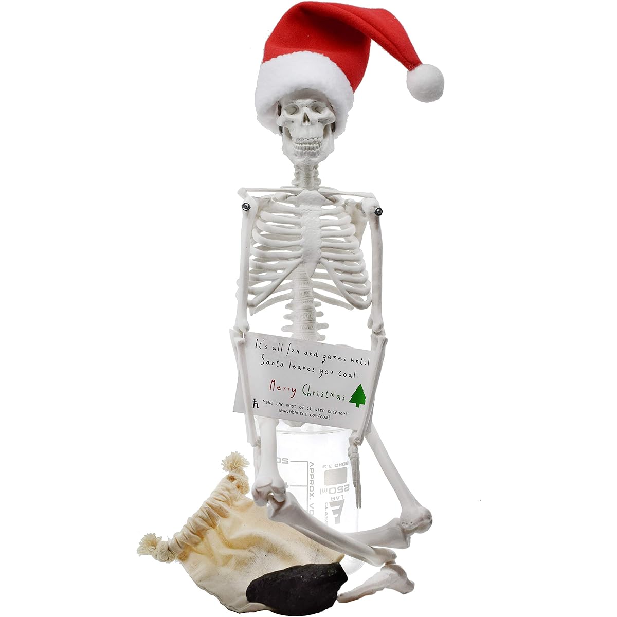 hBARSCI Dead Elf in The Lab - 17" Miniature Skeleton with Santa Hat & Christmas Charcoal