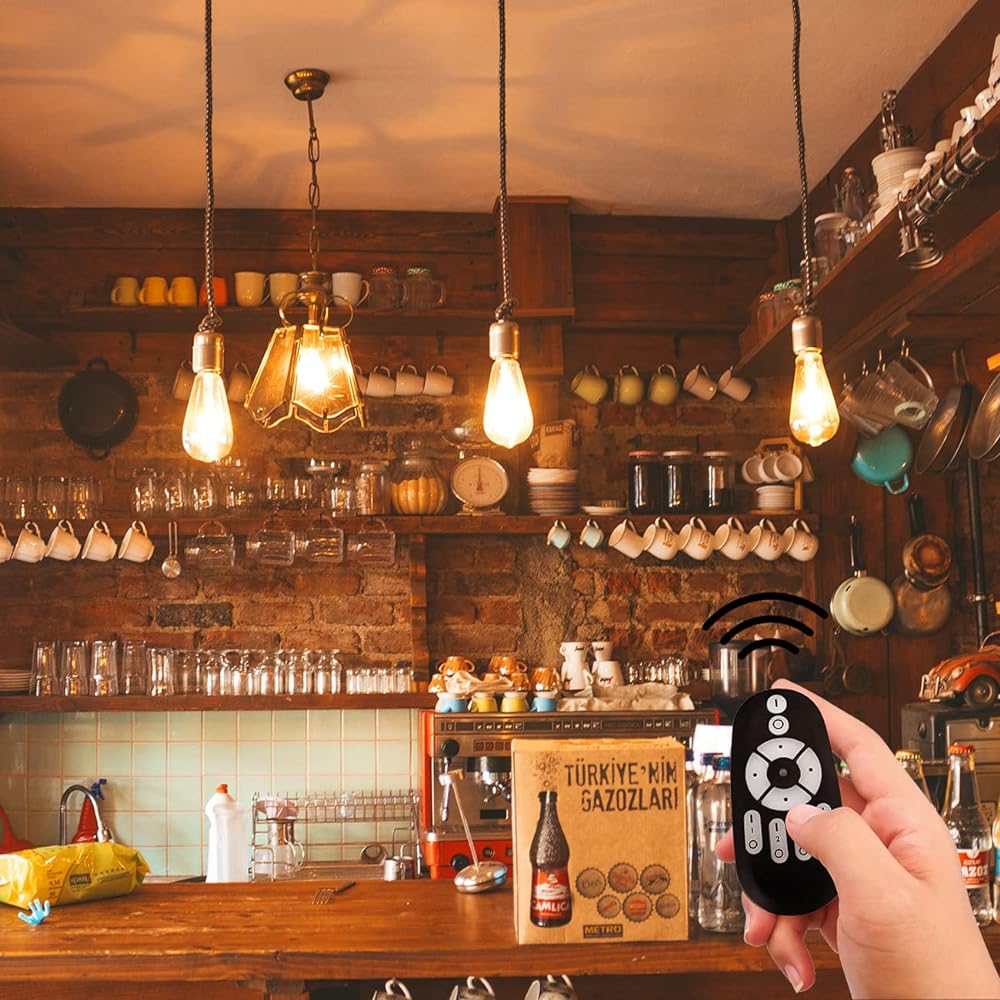 LVWIT Filament Bulb, 60W Equivalent, E26 Base, LED Bulb, 600 LM, Dimmable, Toned, Remote Control, LED Lamp, Brown, 6W Power Consumption, Remote Control, Daylight, Daylight, Light White, Night Light,