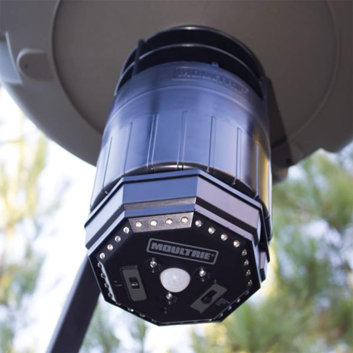 Moultrie Feeder Hog Light [Parallel Import]