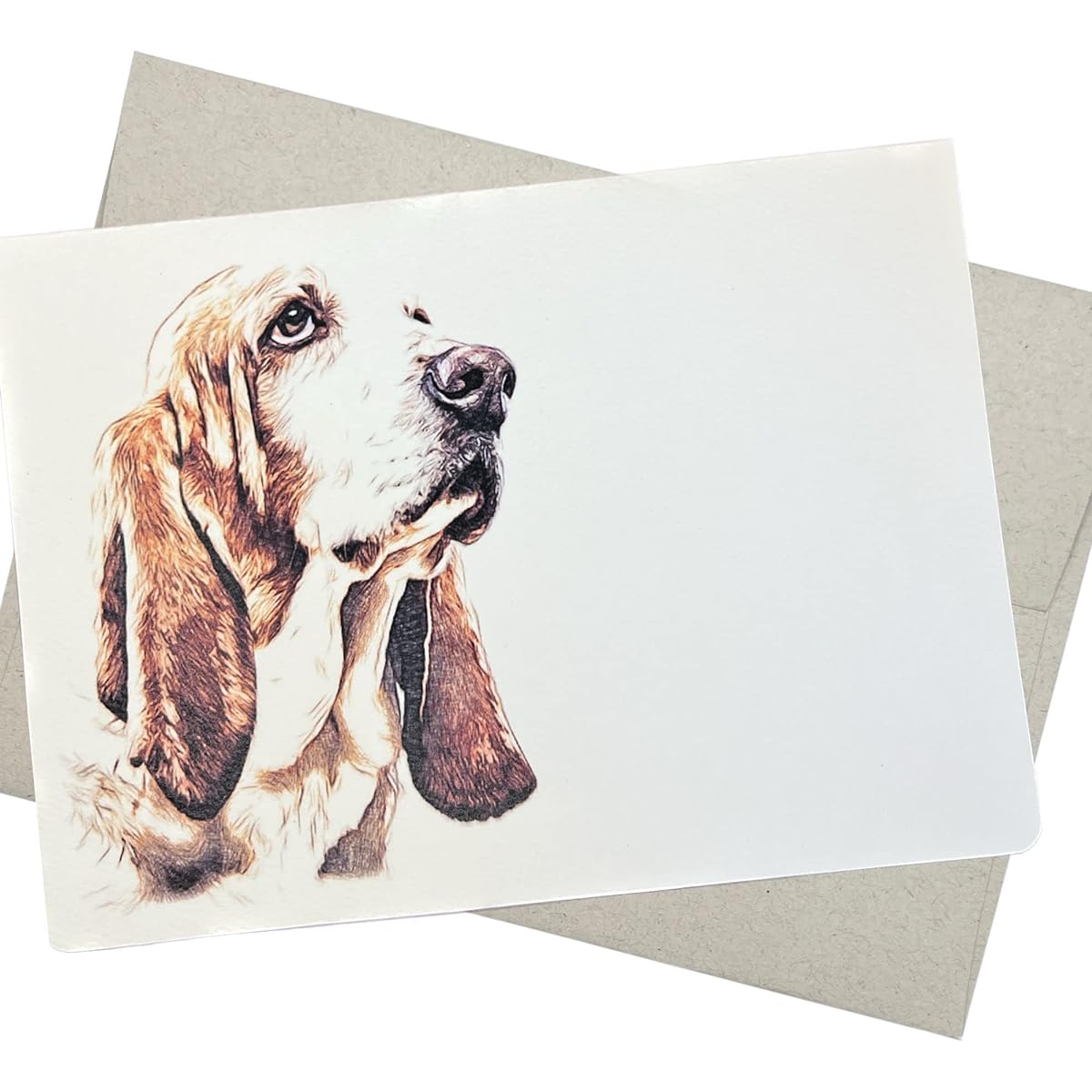 Basset Hound Greeting Card with Envelope (5 x 7 Inch Blank Inside) for Birthday, Anniversary, Wedding, Condolences from Dog Groomer or Veterinarian (Basset 4)
