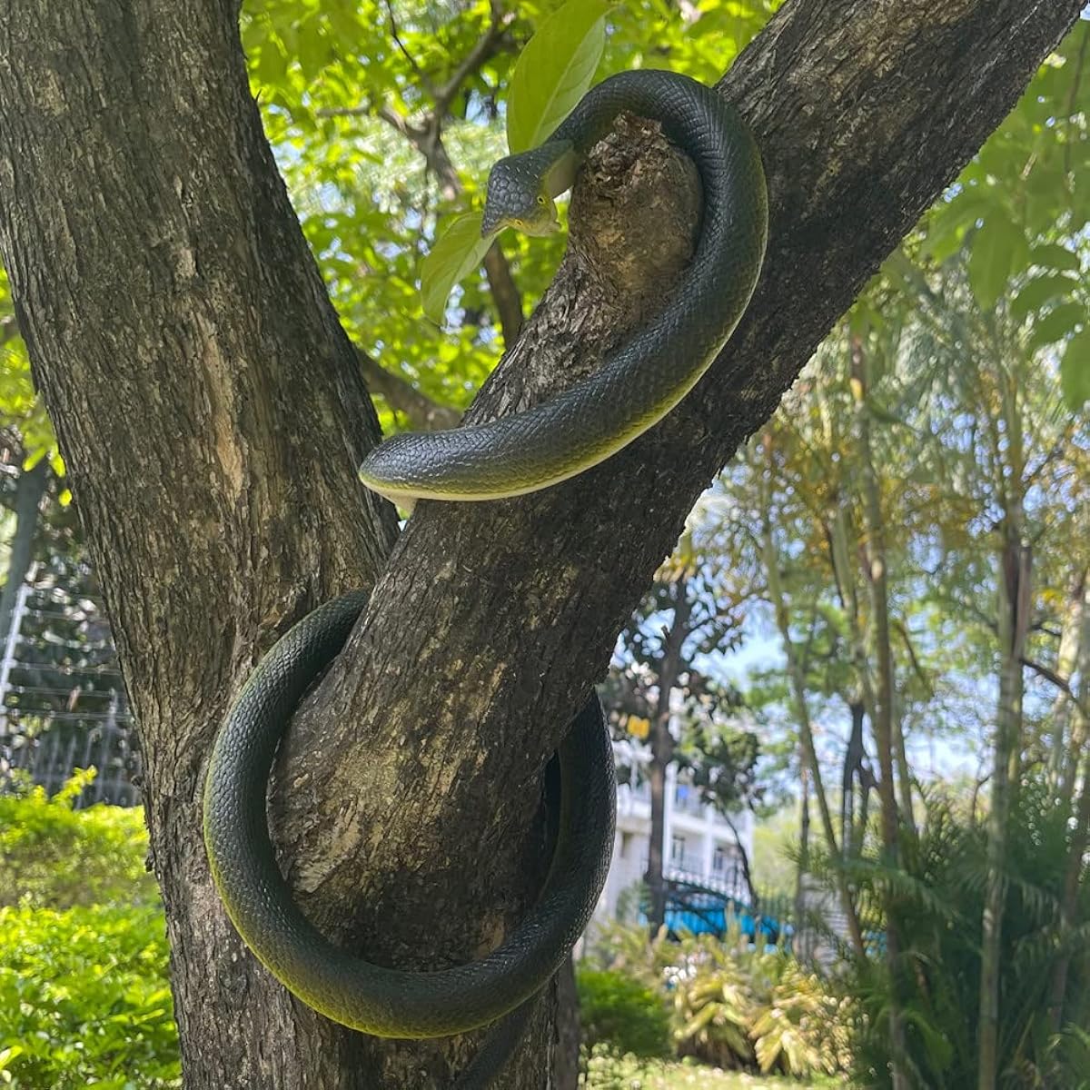 FOUUA Realistic Rubber Snake Scary Fake Snake to Keep Birds Away Garden Big Black Snake Prank Toy Garden Prop Halloween Decoration Kids Toy (Green - Cobra)