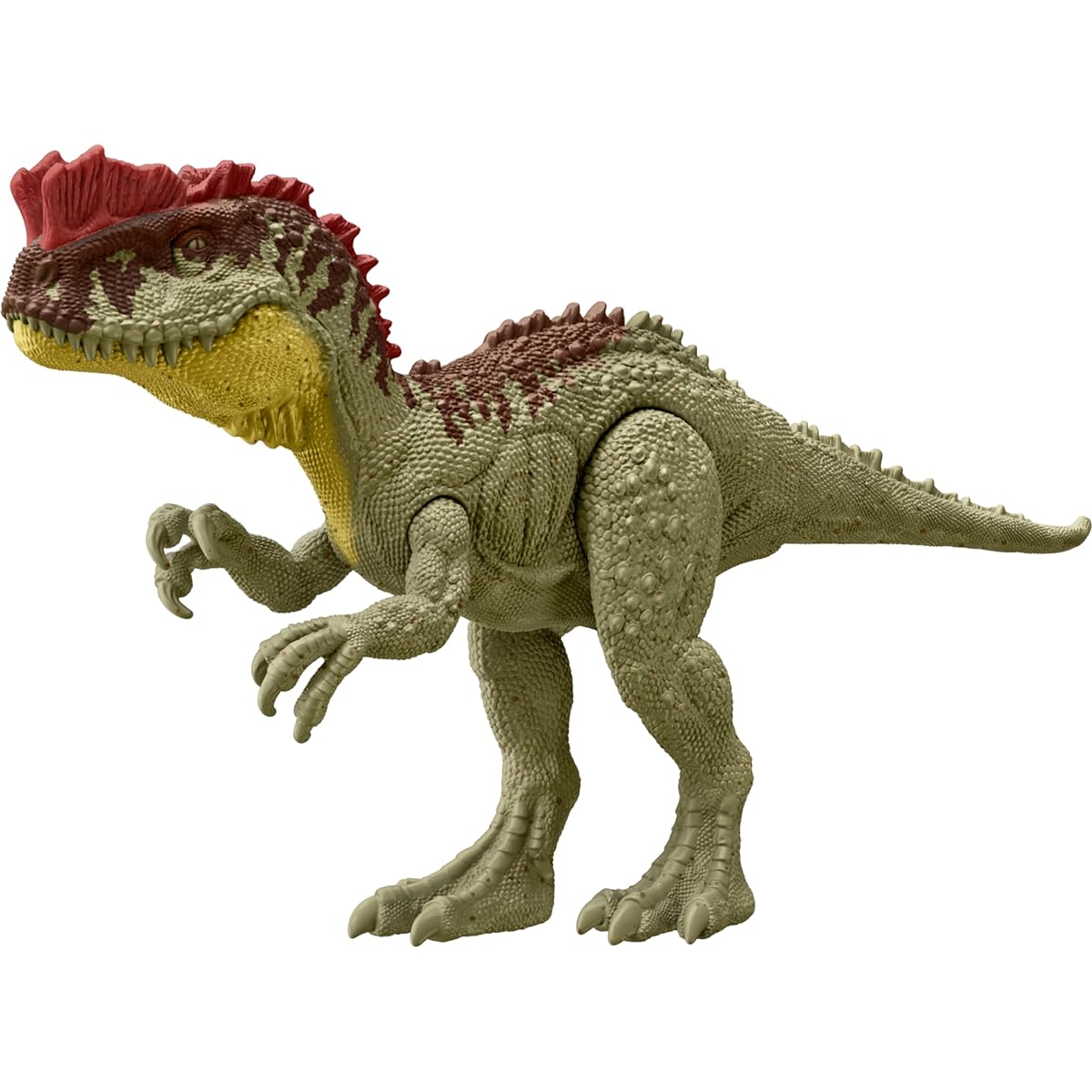 Mattel Jurassic World Large Dinosaur Figure Approximately 12 inches Tall with Authentic Decor and Realistic Sculpture - Great Gift for Kids Ages 3 and Up