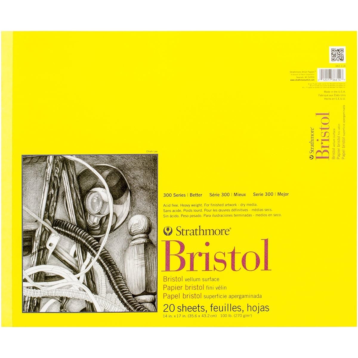 Strathmore Vellum Bristol Paper Pad 14"X17"-100lb 20 Sheets (Parallel Import)