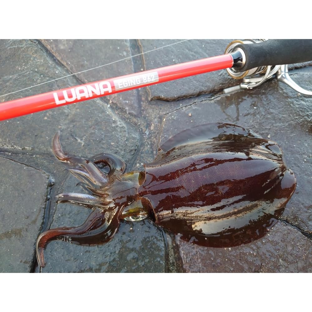 Tsulino LUANA EGING 802/862 [Carbon 2-piece EGING rod]