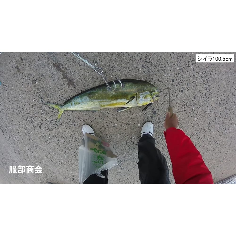 Dropping double gaff (patented) - Center axis - Green object intake system - W
