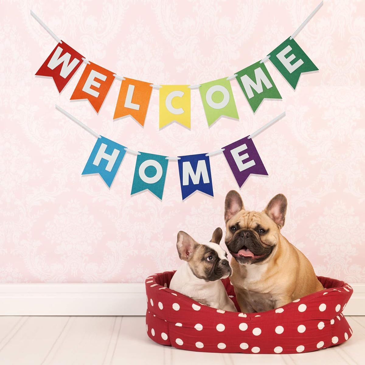Welcome Home Banner Laser Cut Felt Banner 54" Wide - Rainbow