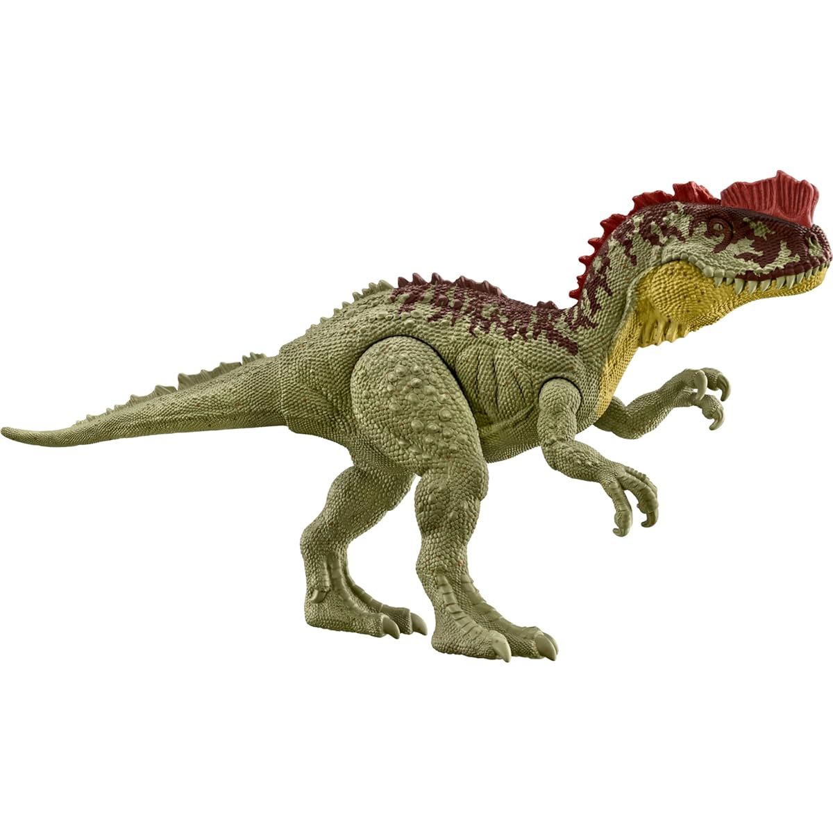 Mattel Jurassic World Large Dinosaur Figure Approximately 12 inches Tall with Authentic Decor and Realistic Sculpture - Great Gift for Kids Ages 3 and Up