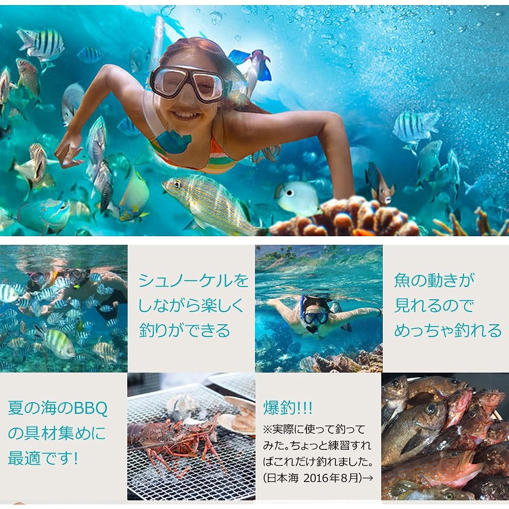 SPEAR SEALS Spear Seals Great fishing!! Snorkel fishing Sight fishing Swimming fishing