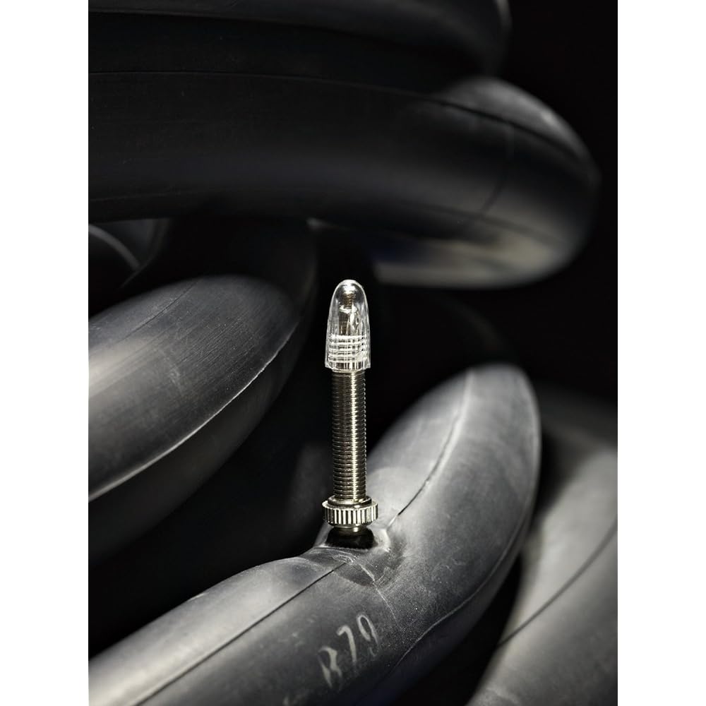 SCHWALBE [Genuine product] Tube for 20 x 1.10/1.50, 20 x 11/8 (406) Presta style 40 mm valve 6SV [Set of 2]