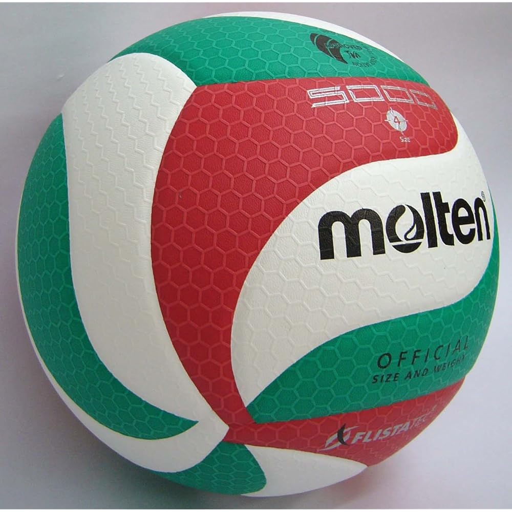 Molten Volleyball Fristatec No. 4 Certification Ball V4M5000