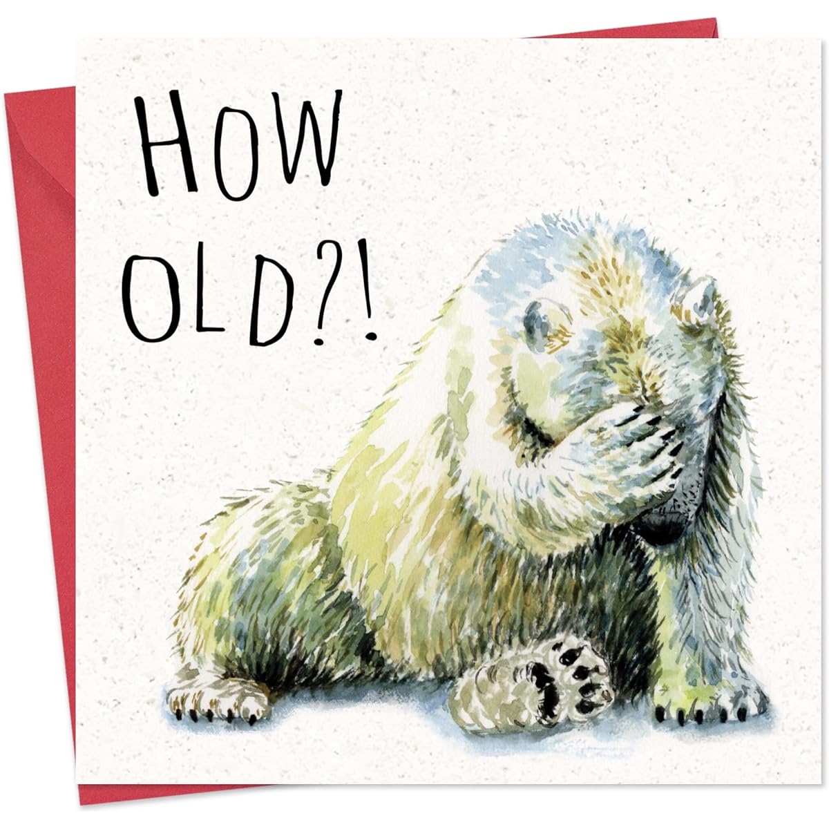 Twizler Funny Birthday Cards Polar Bear - Funny Cards Birthday - Happy Birthday Cards - Funny Birthday Cards Men - Funny Birthday Cards Women - Funny Birthday Cards - Funny Birthday Cards for Her