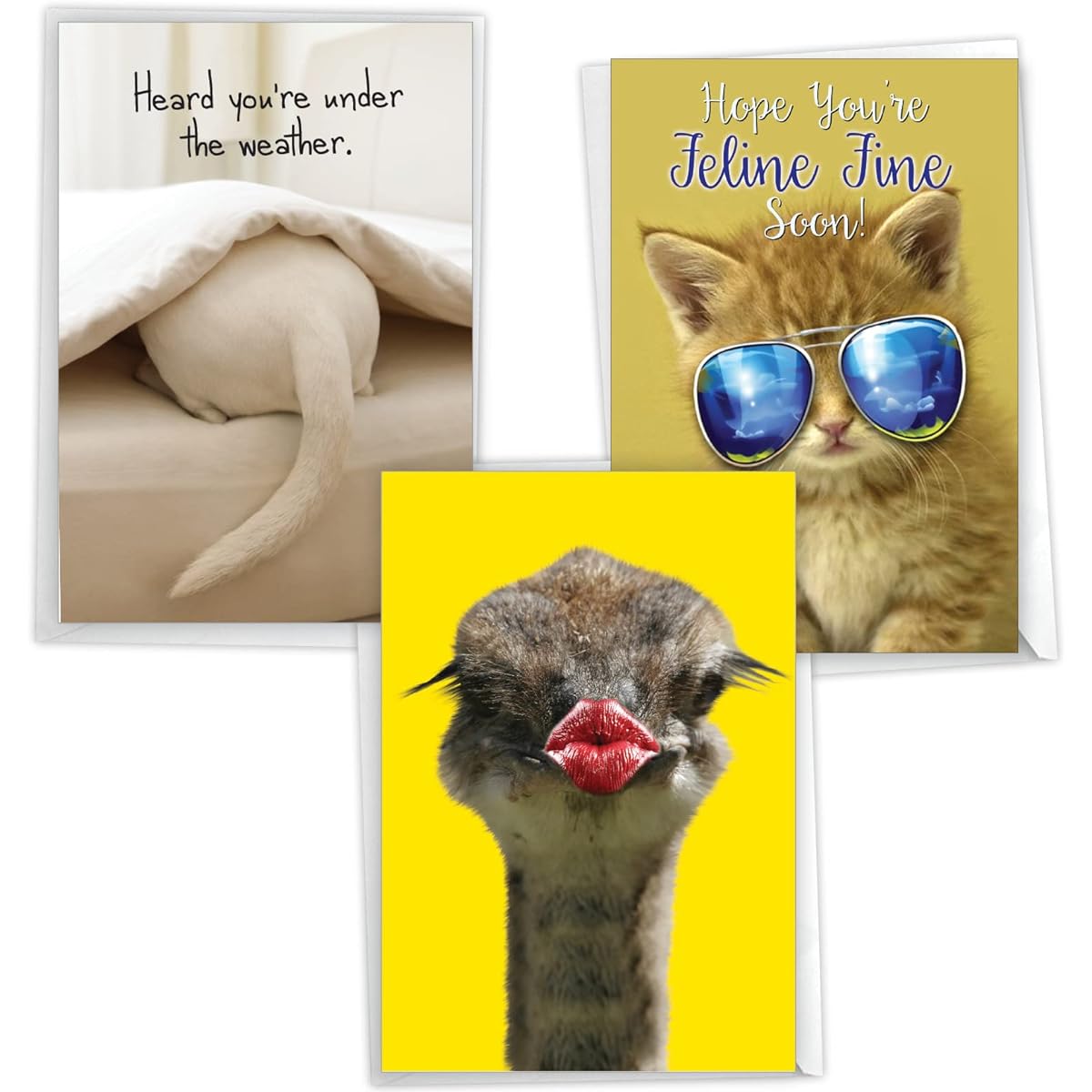 NobleWorks Assorted Pack of Humorous Get Well Greeting Cards with Envelopes (3 Designs, 1 of Each) Feel Better Buddies VC10226GWG-C1x3